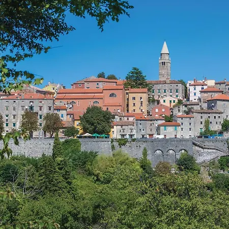 In * Nedeščina
