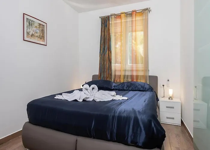 Pet Friendly In * Nedeščina