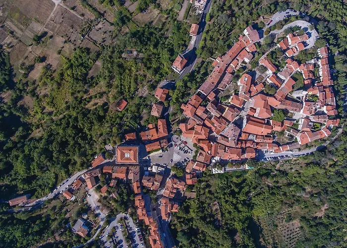 Pet Friendly In Nedescina